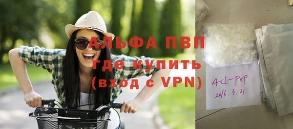 PSILOCYBIN Бородино