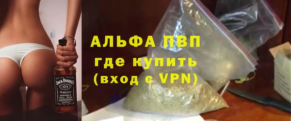 PSILOCYBIN Бородино
