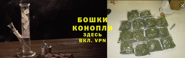 PSILOCYBIN Бородино