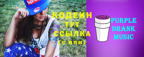 PSILOCYBIN Бородино