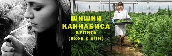 винт Бронницы