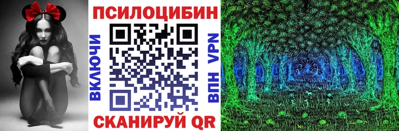 Псилоцибиновые грибы GOLDEN TEACHER  blacksprut зеркало  Кировск 