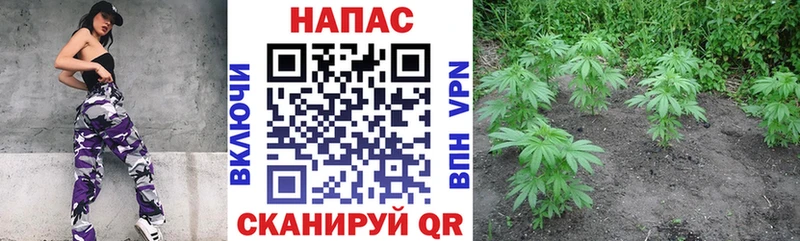 МАРИХУАНА ГИДРОПОН  Кировск 